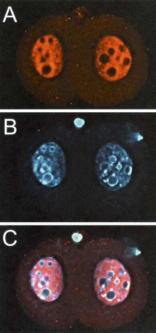 FIG. 11.