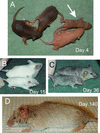 FIG. 6.