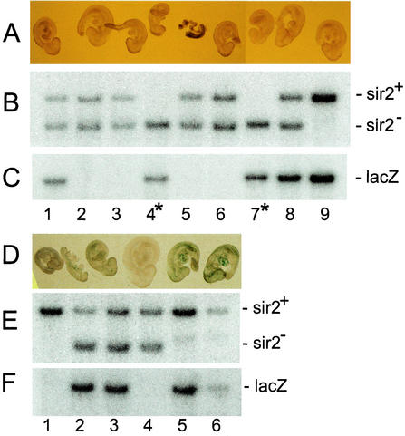 FIG. 8.