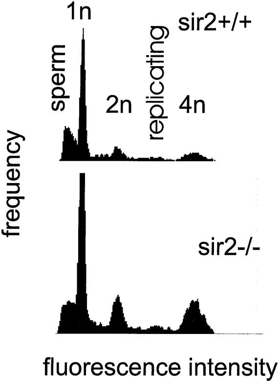 FIG. 15.