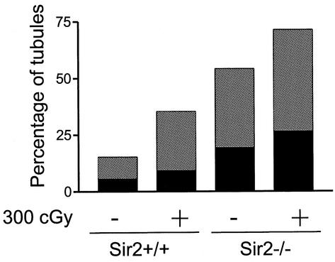 FIG. 17.