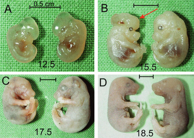 FIG. 5.