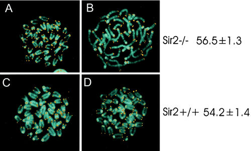 FIG. 9.