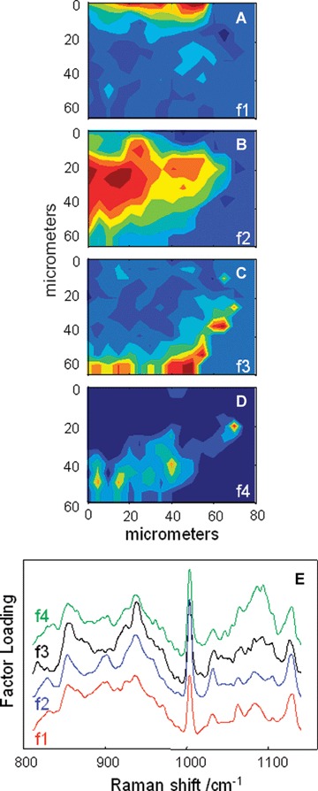 Fig 4