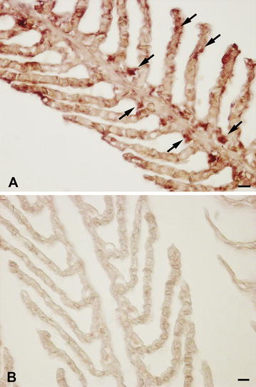 Fig. 6