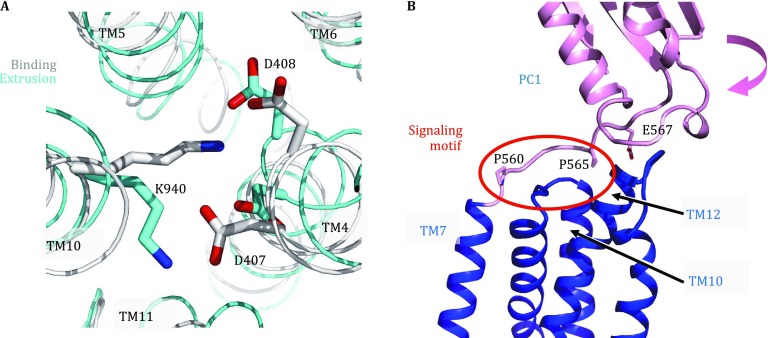 Fig. 3