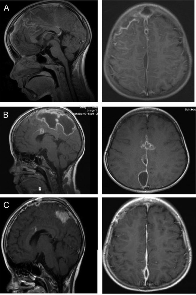 Figure 2: