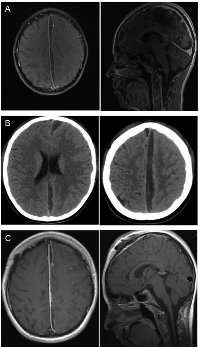 Figure 1: