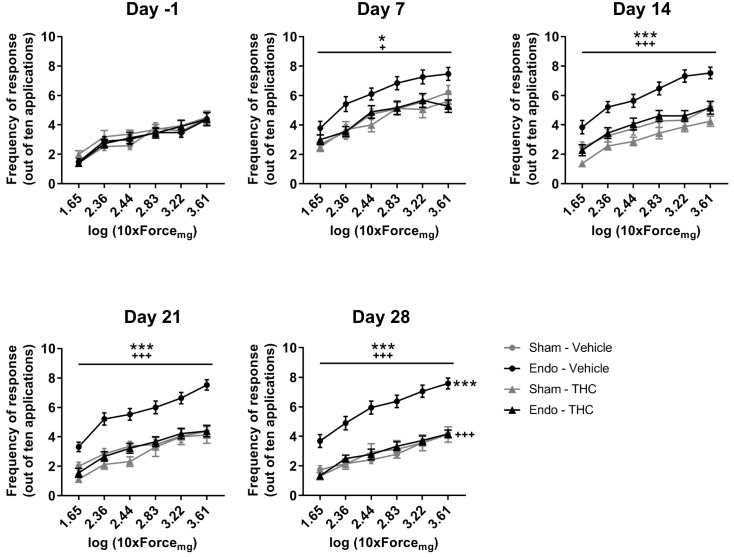 Figure 3—figure supplement 1.