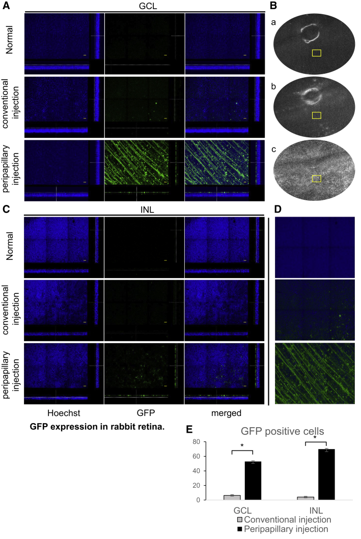 Figure 4