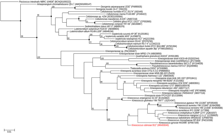 FIGURE 2