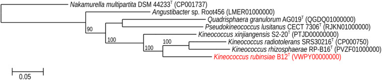 FIGURE 4