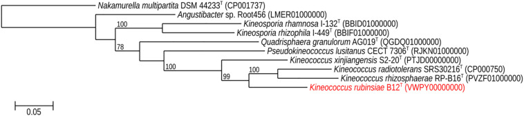 FIGURE 3