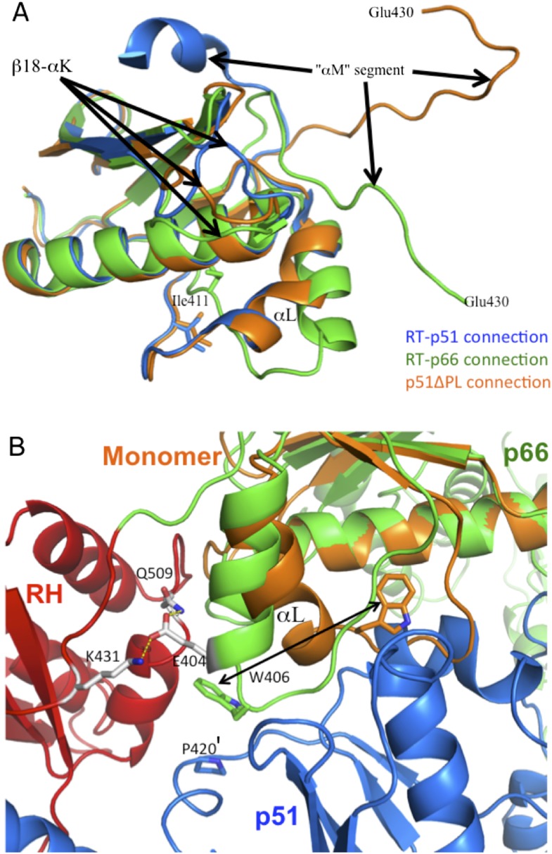 Figure 1—figure supplement 2.