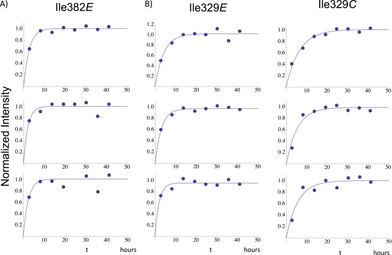 Figure 7—figure supplement 1.