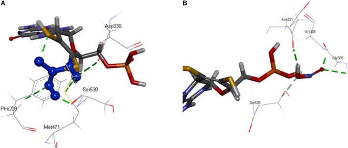 Figure 6