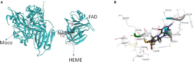 Figure 5