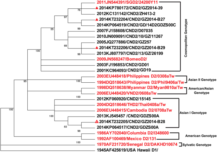 Figure 4