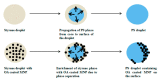 Figure 21