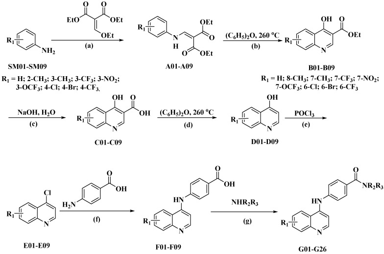 Scheme 1