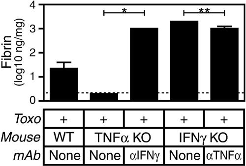 FIG. 5.