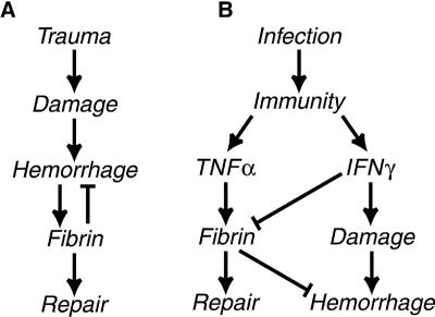 FIG. 7.