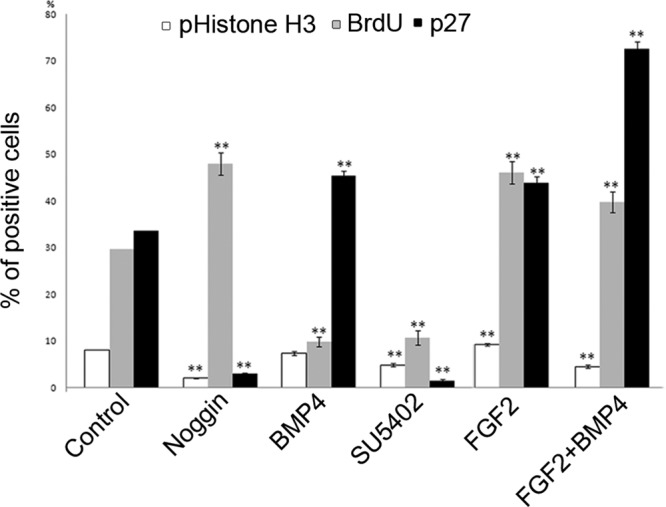 FIGURE 7: