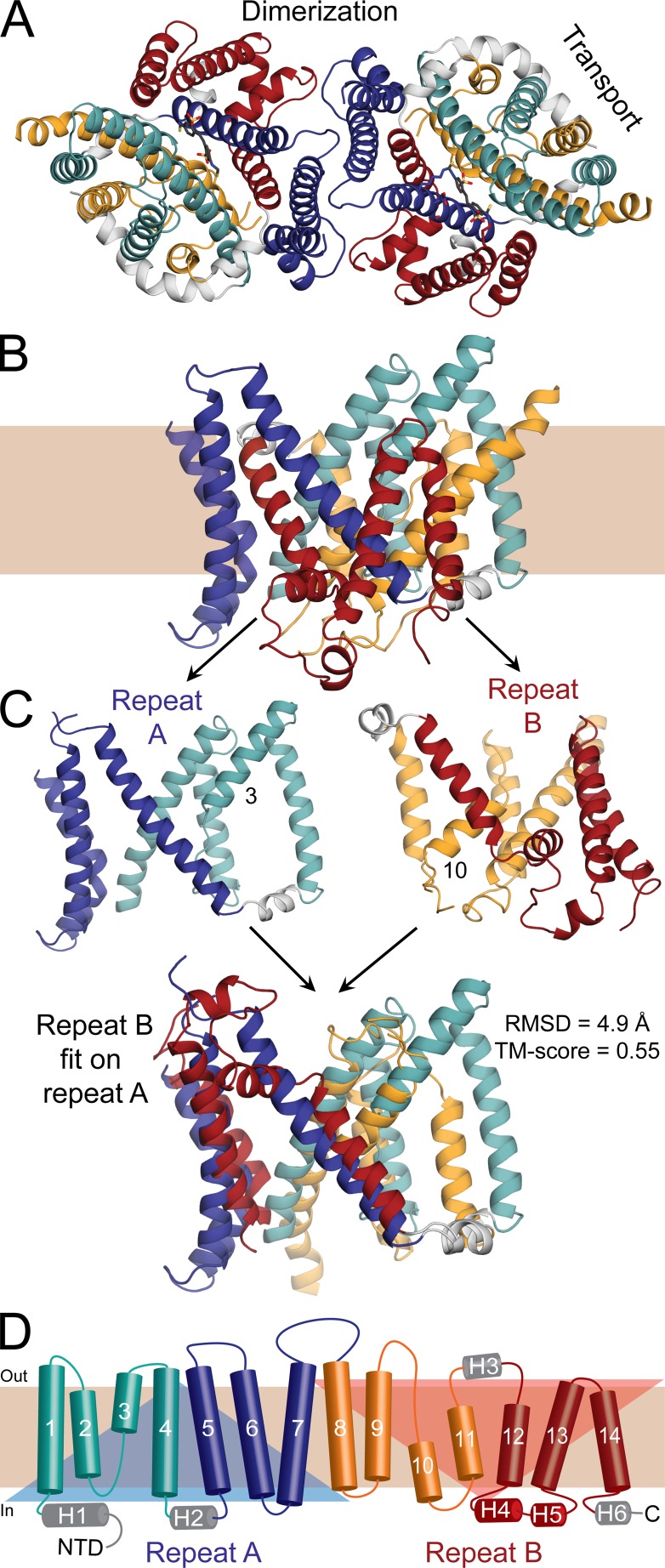 Figure 1.