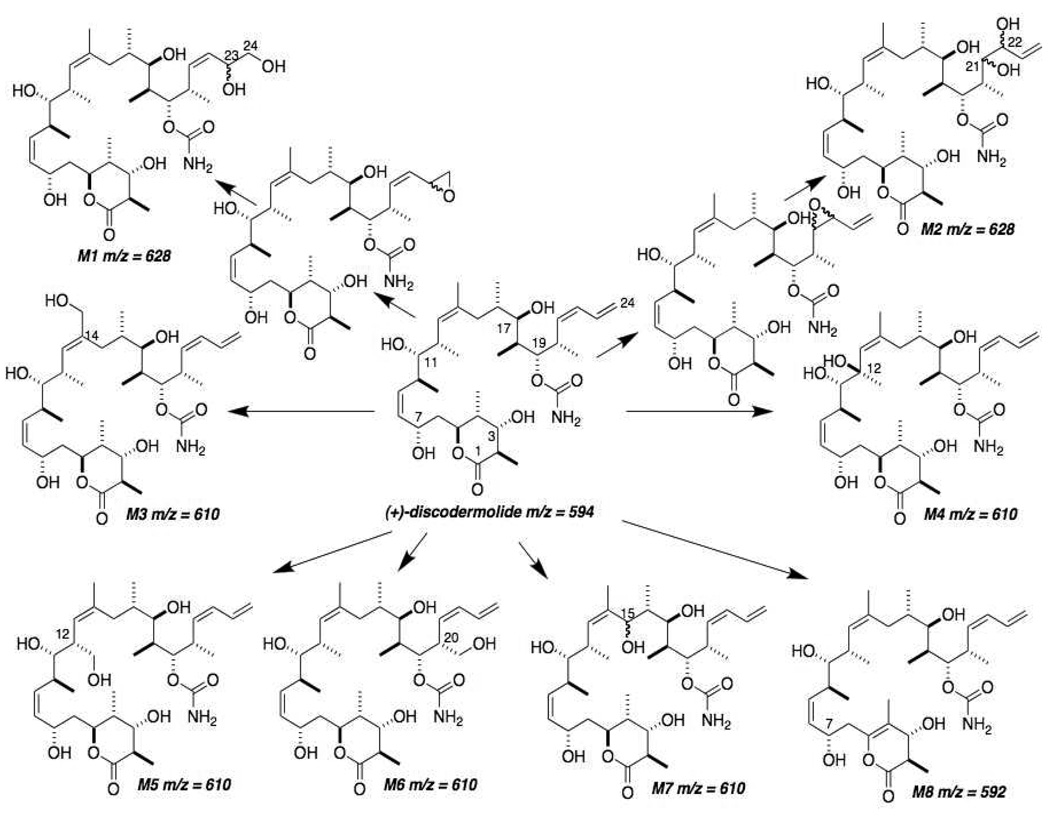 Figure 9