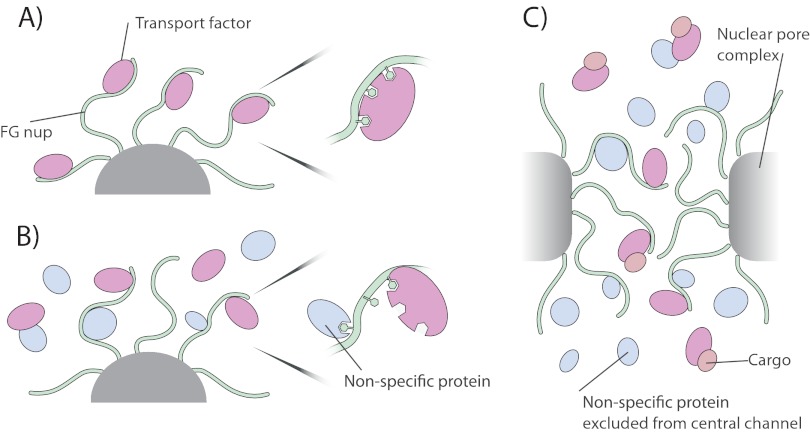 Fig. 10.