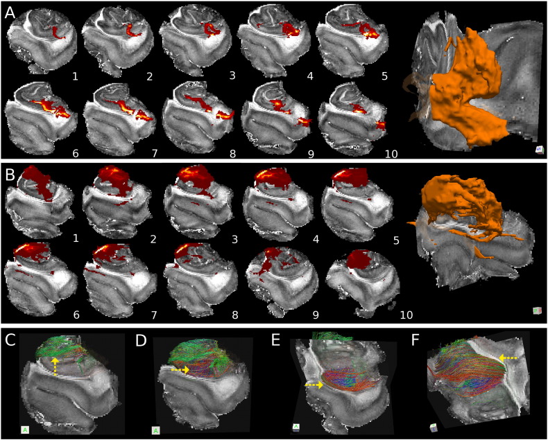 Fig. 7