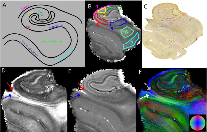 Fig. 4