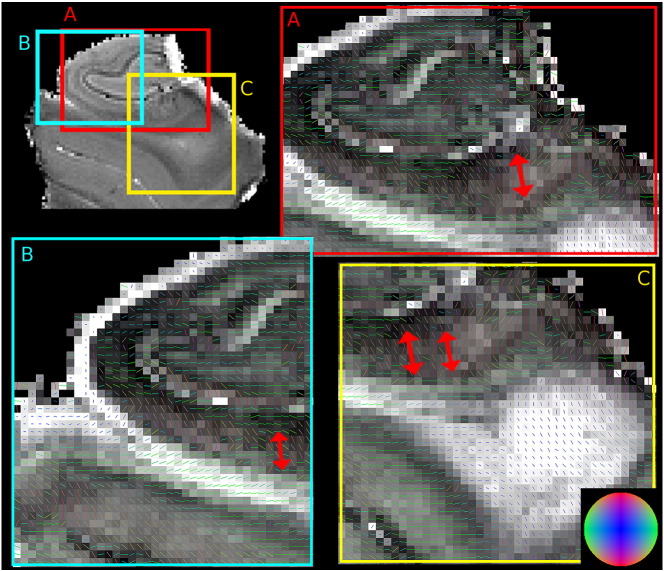 Fig. 6