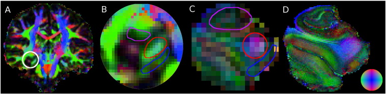 Fig. 3