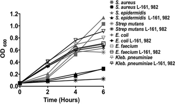 FIG 3