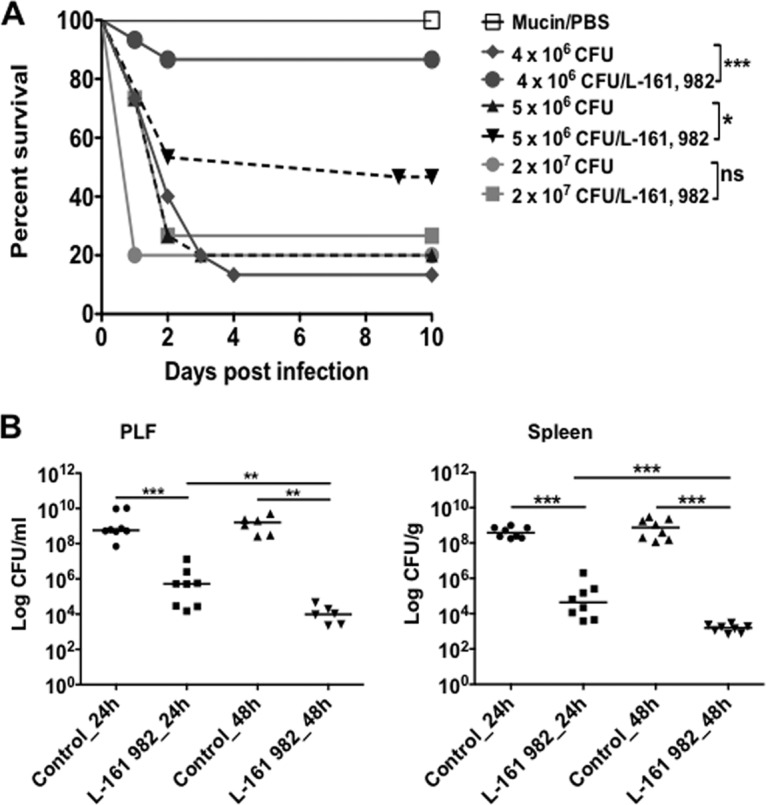 FIG 6