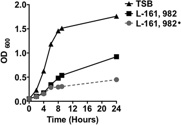 FIG 2