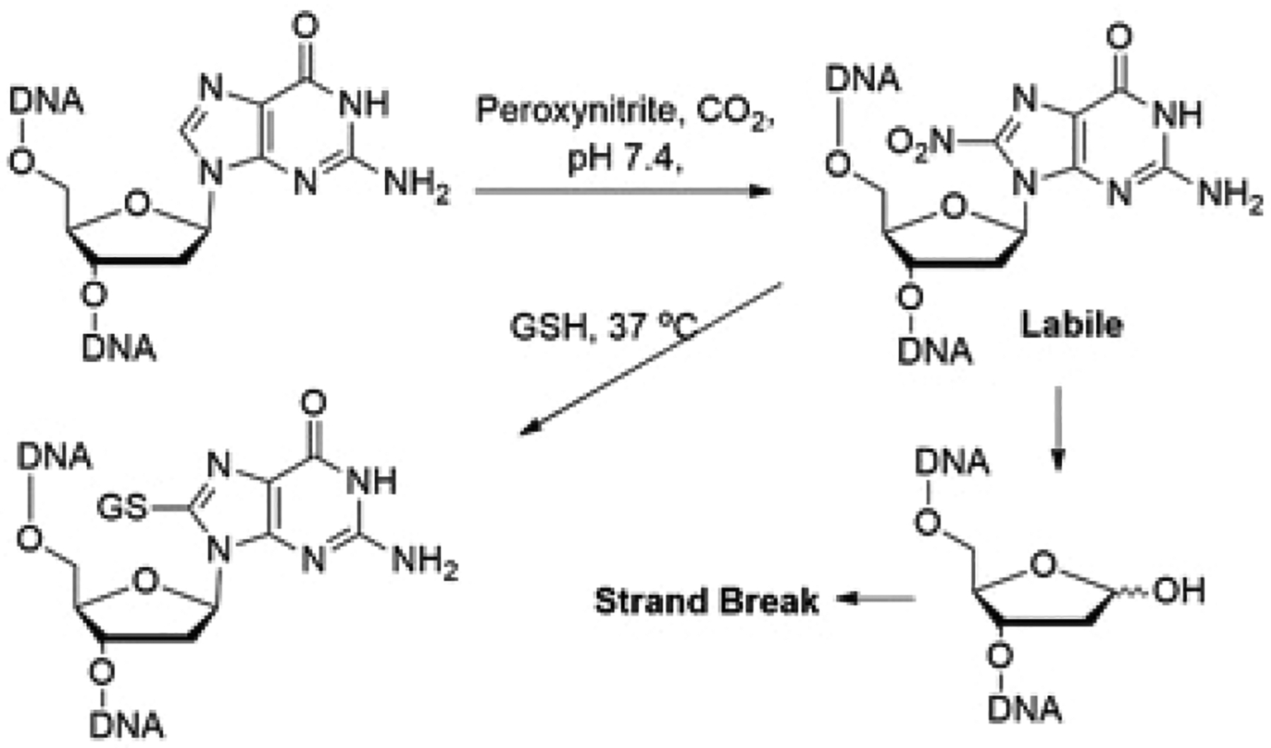 Scheme 1.