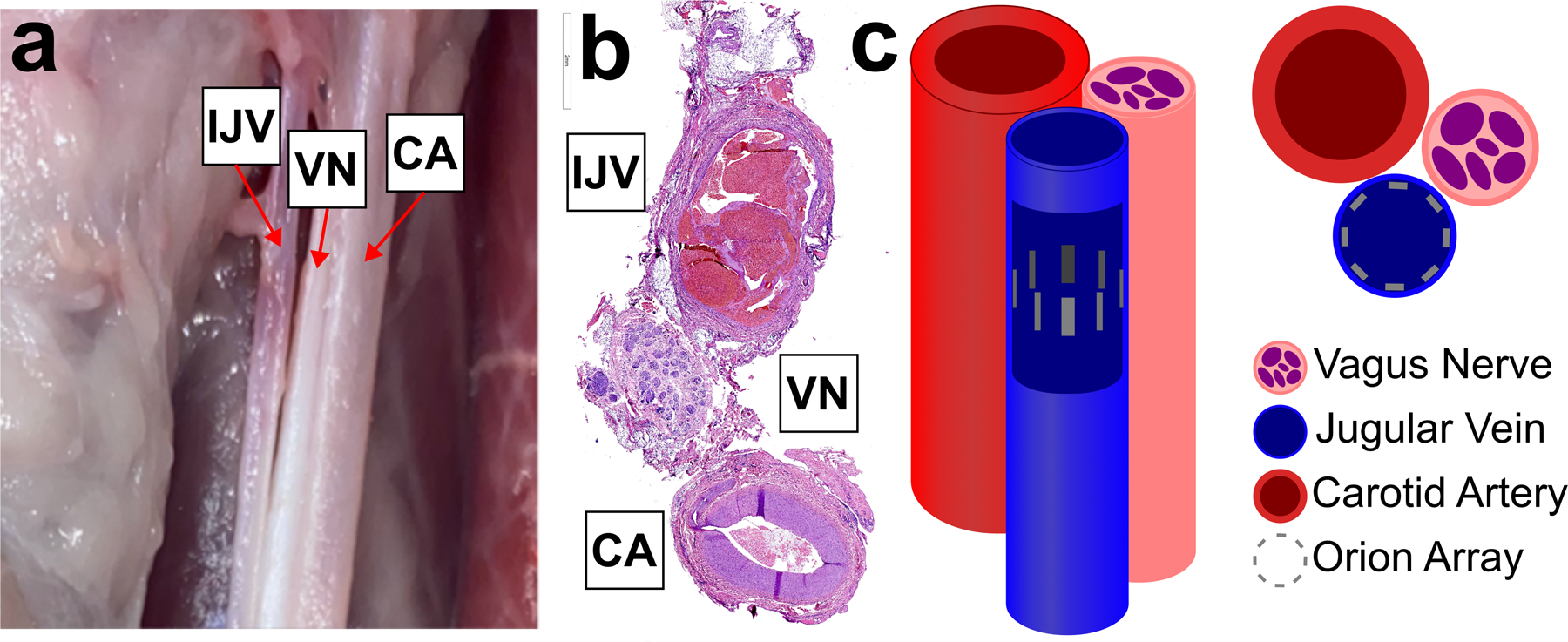 Figure 1: