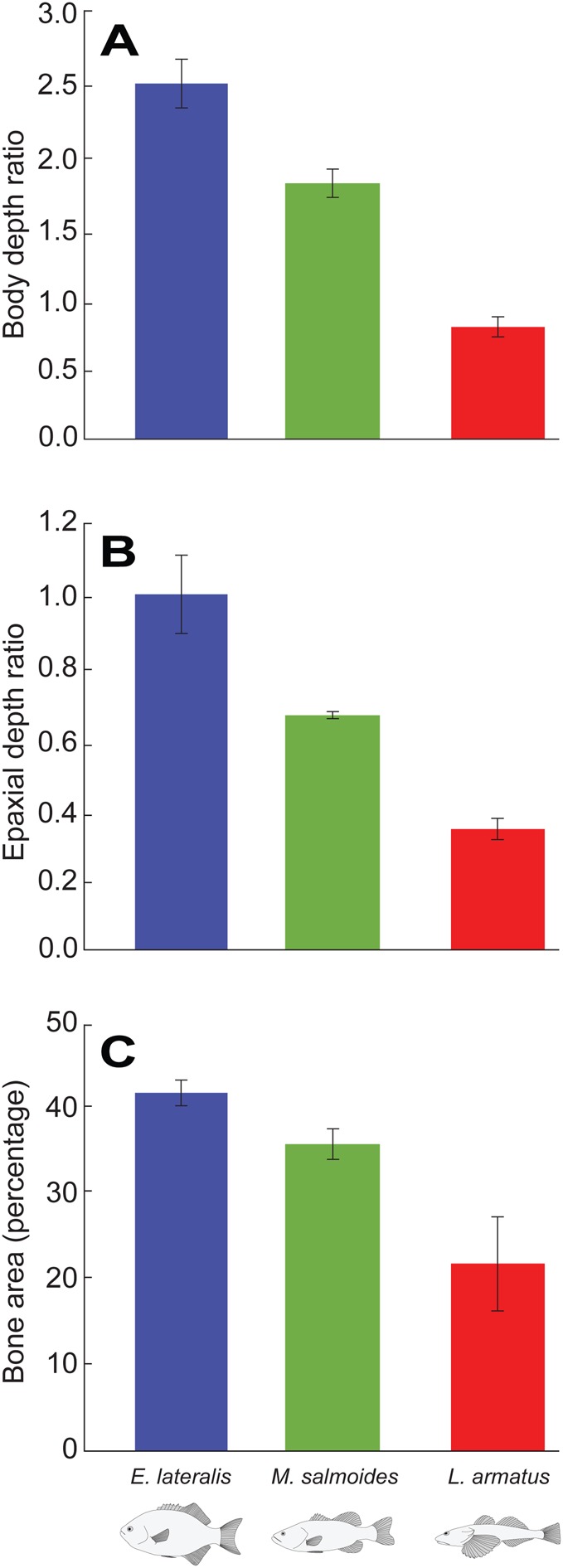 Fig. 3.