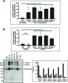 FIG 7