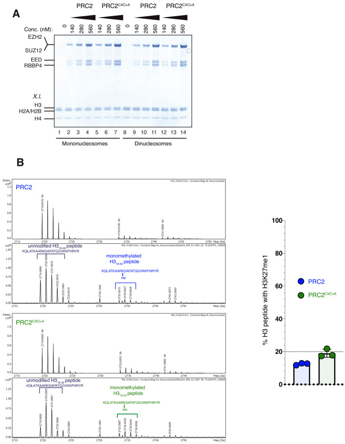 Figure 2—figure supplement 1.