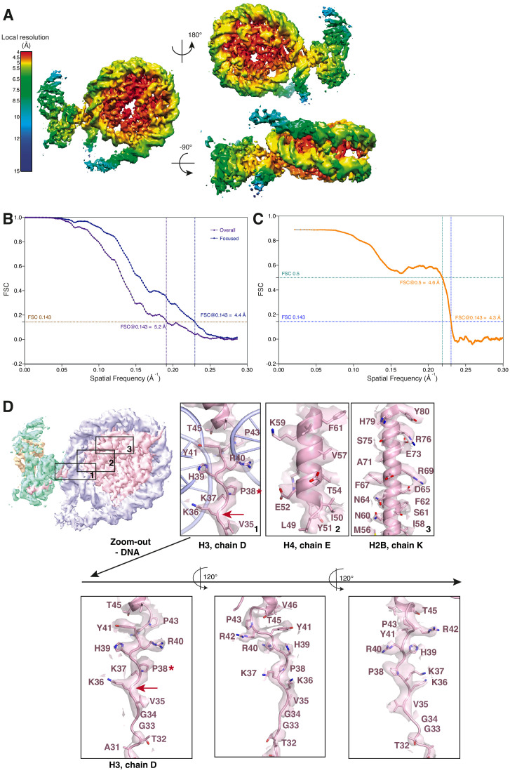 Figure 1—figure supplement 3.