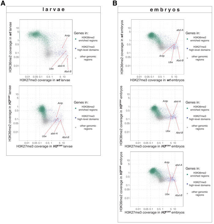 Figure 5—figure supplement 1.