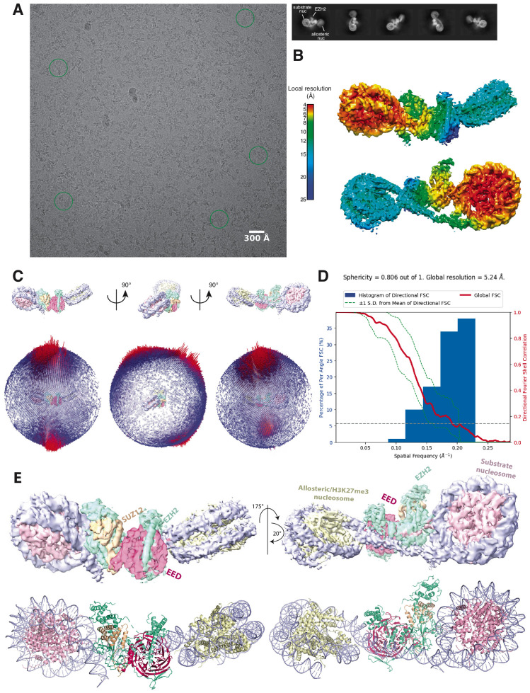 Figure 1—figure supplement 1.