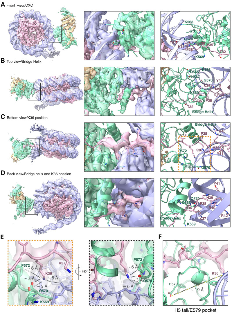 Figure 1—figure supplement 4.