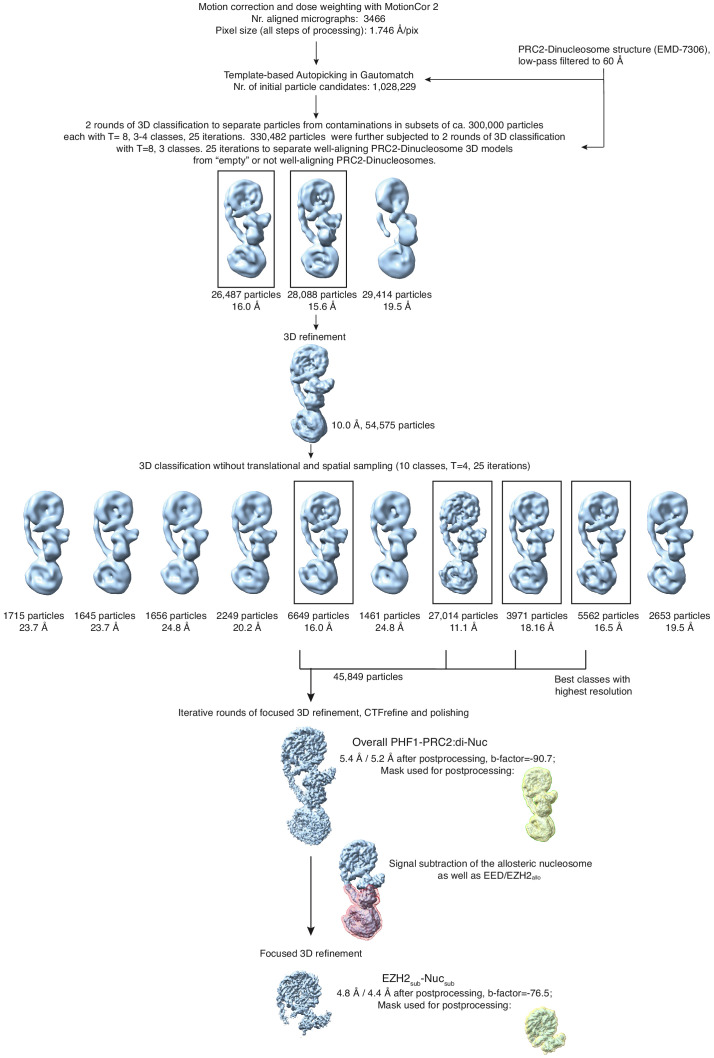 Figure 1—figure supplement 2.