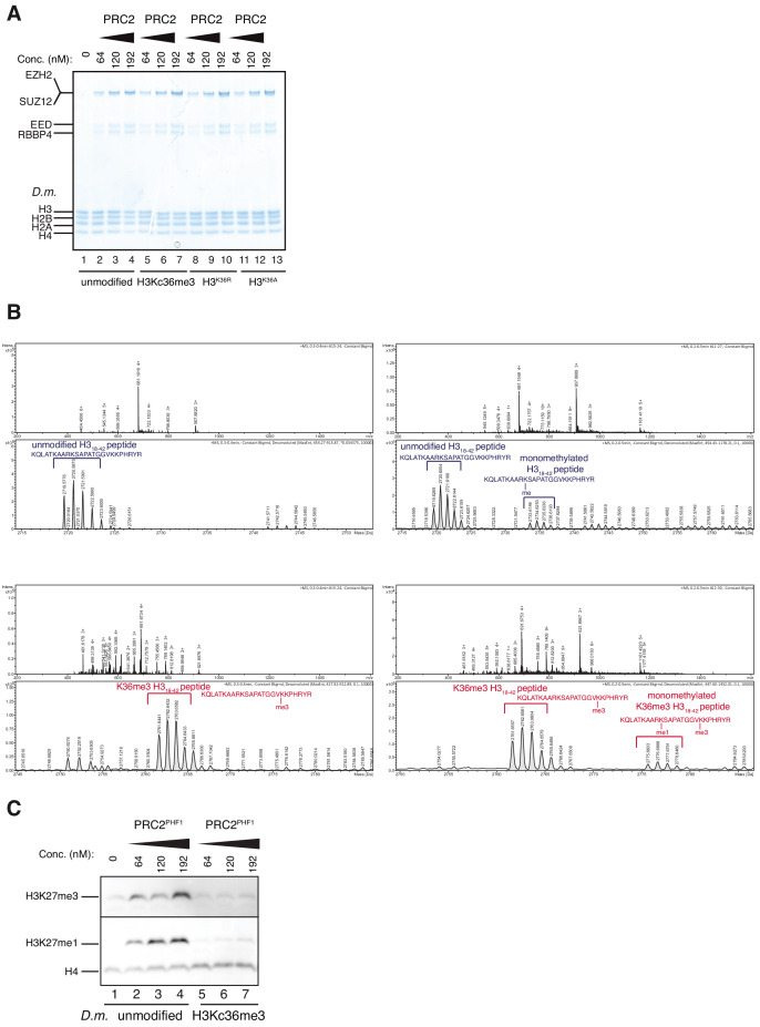 Figure 3—figure supplement 1.