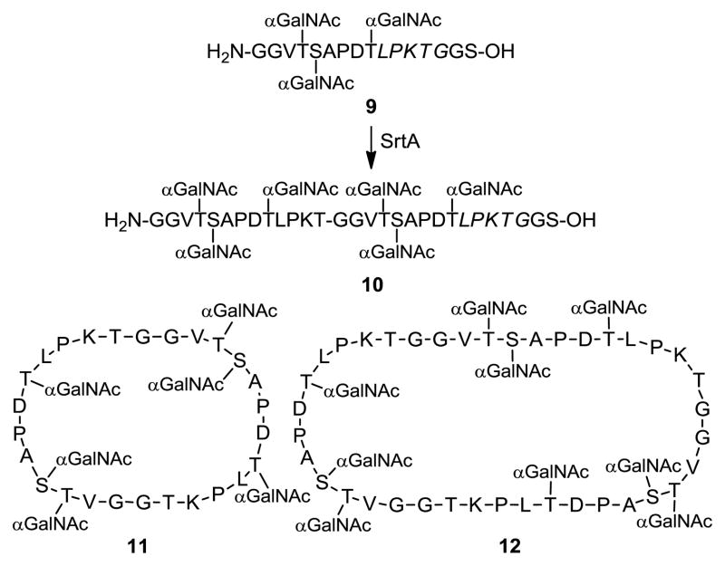 Scheme 3