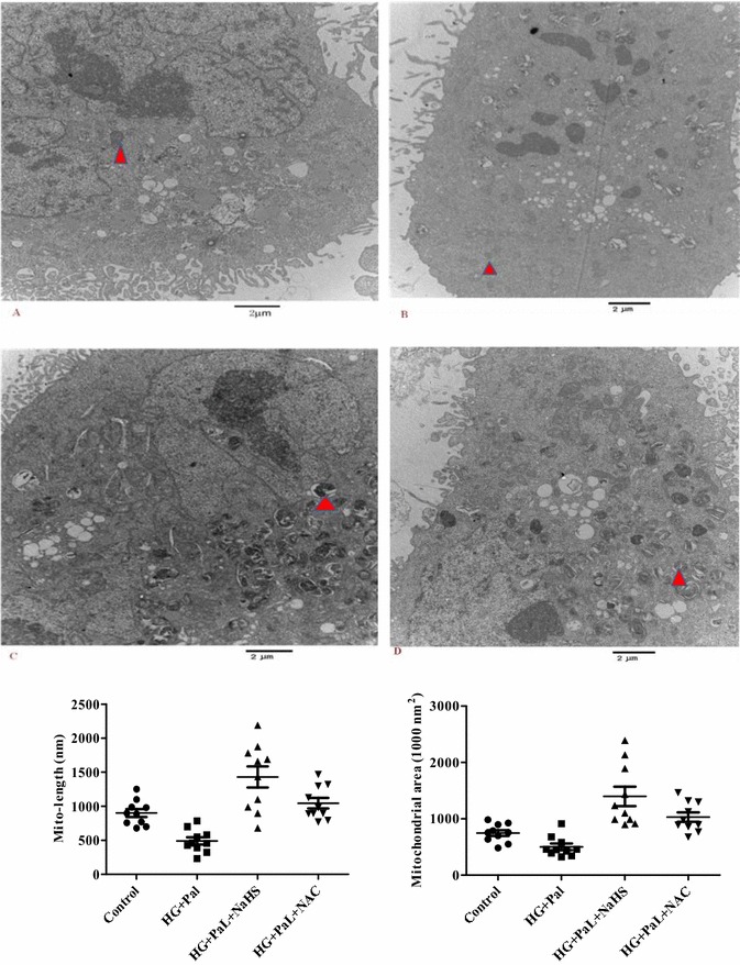 Fig. 8